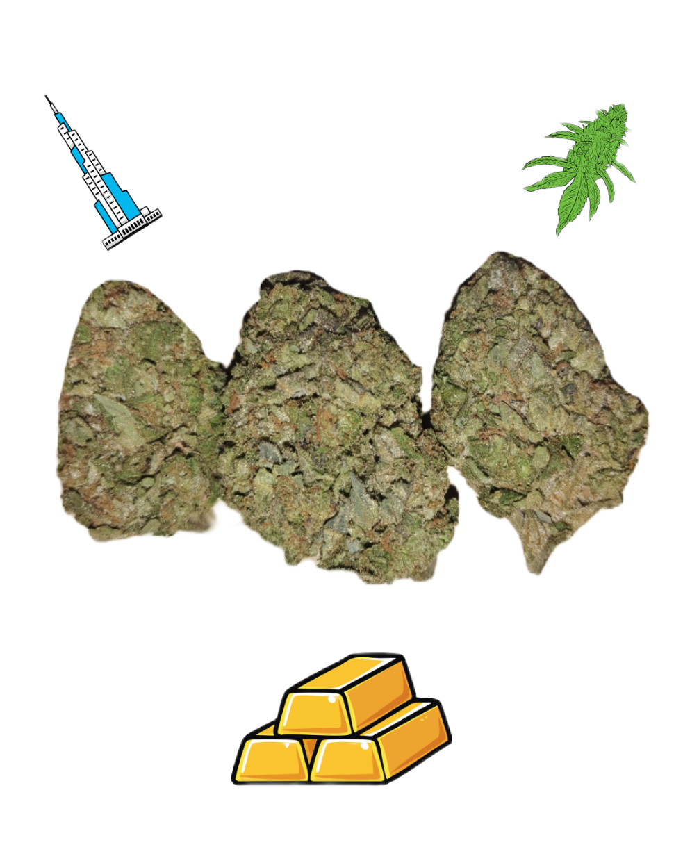 Khalifa Kush- Gold Tier- THCa- Indica / 3.5g